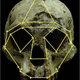 Illustration for article titled Reseachers Say "Hobbit" People Were Not Human